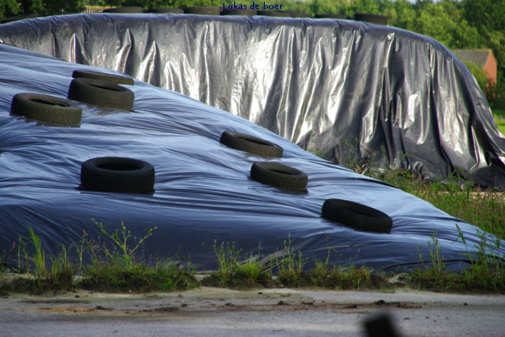 tour (52).jpg - Kuilbult op de Oldehof